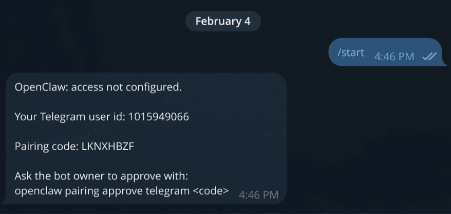 Telegram Pairing Token